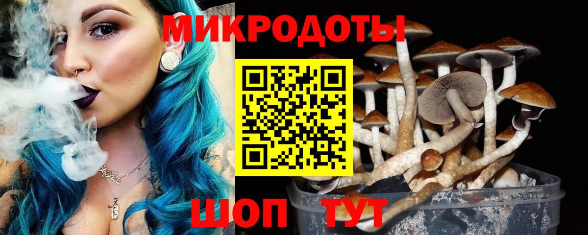 Галлюциногенные грибы Psilocybe  Галлюциногенные грибы мухоморы  Вход с VPN  Арзамас 